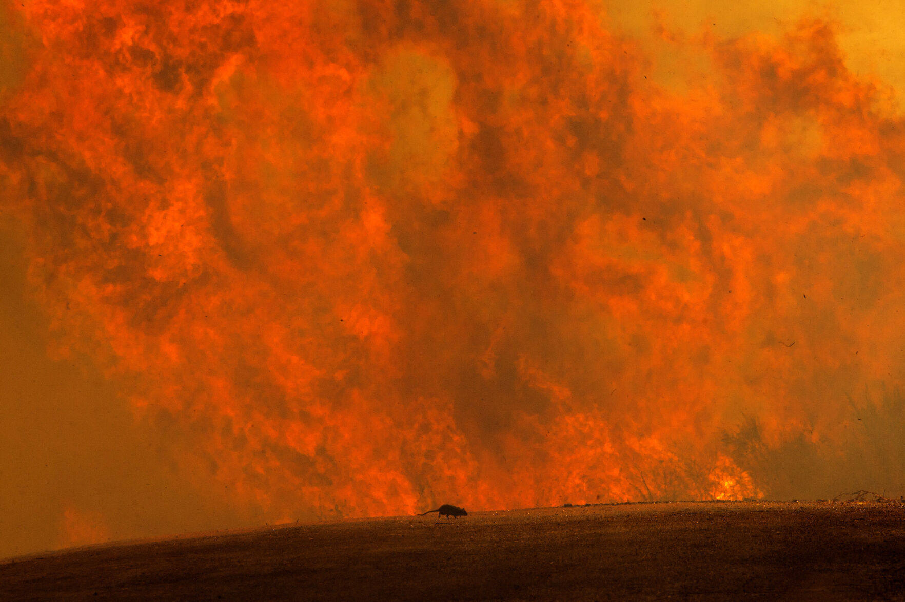 California Wildfires
